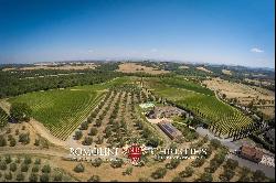 BEAUTIFUL WINE RESORT FOR SALE IN TUSCANY, SIENA, STATE OF THE ART WINERY, 25 HECTARES OF