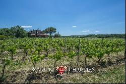 WINE ESTATE WITH 13 HA OF VINEYARDS FOR SALE ON THE TRASIMENO LAKE, UMBRIA