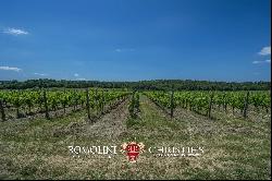 WINE ESTATE WITH 13 HA OF VINEYARDS FOR SALE ON THE TRASIMENO LAKE, UMBRIA