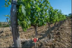 WINE ESTATE WITH APARTMENT FOR SALE IN GROSSETO, TUSCANY MONTECUCCO