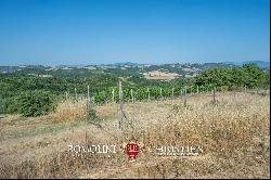 WINE ESTATE WITH APARTMENT FOR SALE IN GROSSETO, TUSCANY MONTECUCCO