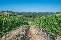 WINE ESTATE WITH APARTMENT FOR SALE IN GROSSETO, TUSCANY MONTECUCCO