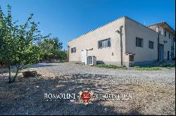 WINE ESTATE WITH APARTMENT FOR SALE IN GROSSETO, TUSCANY MONTECUCCO