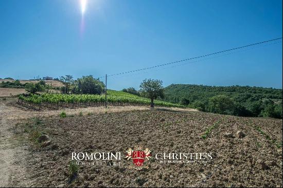 WINE ESTATE WITH APARTMENT FOR SALE IN GROSSETO, TUSCANY MONTECUCCO