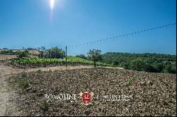 WINE ESTATE WITH APARTMENT FOR SALE IN GROSSETO, TUSCANY MONTECUCCO