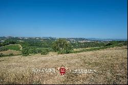 WINE ESTATE WITH APARTMENT FOR SALE IN GROSSETO, TUSCANY MONTECUCCO