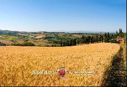 240 HECTARES ESTATE WITH AGRITURISMO AND WINERY FOR SALE, SAN GIMIGNANO, SIENA, TUSCANY, 