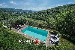 HAMLET WITH PANORAMIC VIEW AND CHURCH FOR SALE, CASTIGLION FIORENTINO