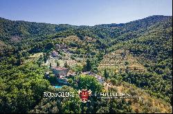 HAMLET WITH PANORAMIC VIEW AND CHURCH FOR SALE, CASTIGLION FIORENTINO