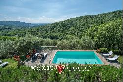 HAMLET WITH PANORAMIC VIEW AND CHURCH FOR SALE, CASTIGLION FIORENTINO