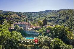 HAMLET WITH PANORAMIC VIEW AND CHURCH FOR SALE, CASTIGLION FIORENTINO