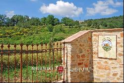 AGRITURISMO WITH PANORAMIC VIEW FOR SALE CASOLE D'ELSA, TUSCANY