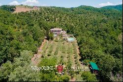 RESTORED COUNTRY HOUSE FOR SALE GAIOLE IN CHIANTI, TUSCANY