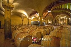 ORGANIC WINE ESTATE WITH 33 HA OF VINEYARDS FOR SALE, CHIANTI CLASSICO