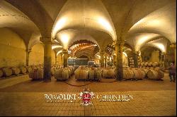 ORGANIC WINE ESTATE WITH 33 HA OF VINEYARDS FOR SALE, CHIANTI CLASSICO