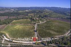 ORGANIC WINE ESTATE WITH 33 HA OF VINEYARDS FOR SALE, CHIANTI CLASSICO