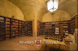 ORGANIC WINE ESTATE WITH 33 HA OF VINEYARDS FOR SALE, CHIANTI CLASSICO