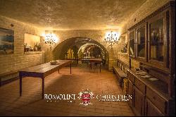 ORGANIC WINE ESTATE WITH 33 HA OF VINEYARDS FOR SALE, CHIANTI CLASSICO