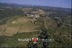 CASTLE FOR SALE ITALY, CHIANTI CLASSICO WINE RY DOCG TUSCANY AREA