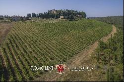 CASTLE FOR SALE ITALY, CHIANTI CLASSICO WINE RY DOCG TUSCANY AREA