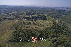 CASTLE FOR SALE ITALY, CHIANTI CLASSICO WINE RY DOCG TUSCANY AREA