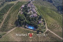 CASTLE FOR SALE ITALY, CHIANTI CLASSICO WINE RY DOCG TUSCANY AREA