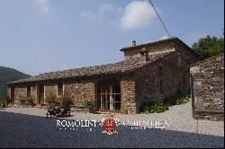 TUSCAN ESTATE WITH MANOR VILLA, 10 HA OF LAND, VINEYARDS,OLIVE GROVE FOR SALE IN ITALY, T