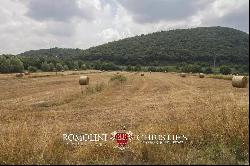 TUSCAN ESTATE WITH MANOR VILLA, 10 HA OF LAND, VINEYARDS,OLIVE GROVE FOR SALE IN ITALY, T