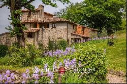 PRIVATE ESTATE WITH RENTAL BUSINESS AND FARM FOR SALE TUSCANY