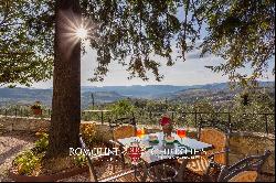 PRIVATE ESTATE WITH RENTAL BUSINESS AND FARM FOR SALE TUSCANY