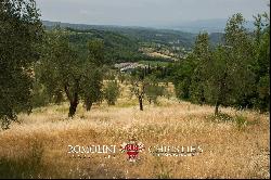 HISTORICAL ESTATE FOR SALE IN FLORENCE - CHIANTI