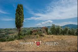 HISTORICAL ESTATE FOR SALE IN FLORENCE - CHIANTI