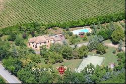 VILLA SEA VIEW WITH VINEYARD FOR SALE IN LE MARCHE