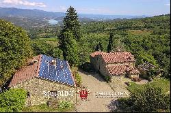 ORGANIC FARM, ESTATE FOR SALE TUSCANY