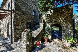 ORGANIC FARM, ESTATE FOR SALE TUSCANY