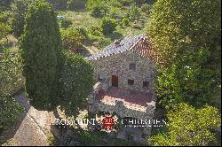 ORGANIC FARM, ESTATE FOR SALE TUSCANY