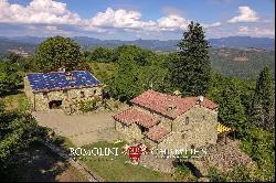 ORGANIC FARM, ESTATE FOR SALE TUSCANY