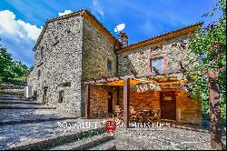 ORGANIC FARM, ESTATE FOR SALE TUSCANY