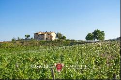 VILLA WITH VINEYARDS AND AGRITURISMO FOR SALE IN TUSCANY, CHIANTI