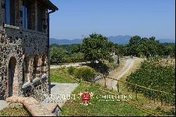 VILLA WITH VINEYARDS AND AGRITURISMO FOR SALE IN TUSCANY, CHIANTI