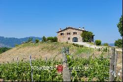 VILLA WITH VINEYARDS AND AGRITURISMO FOR SALE IN TUSCANY, CHIANTI