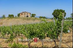 VILLA WITH VINEYARDS AND AGRITURISMO FOR SALE IN TUSCANY, CHIANTI