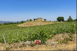 VILLA WITH VINEYARDS AND AGRITURISMO FOR SALE IN TUSCANY, CHIANTI