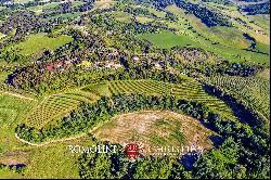 200-HA WINE ESTATE FOR SALE BETWEEN PISA AND FLORENCE, CHIANTI