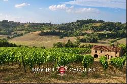 200-HA WINE ESTATE FOR SALE BETWEEN PISA AND FLORENCE, CHIANTI