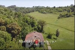 200-HA WINE ESTATE FOR SALE BETWEEN PISA AND FLORENCE, CHIANTI