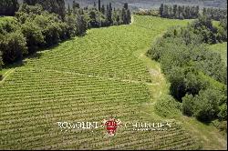 200-HA WINE ESTATE FOR SALE BETWEEN PISA AND FLORENCE, CHIANTI