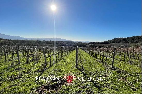 WINERY FOR SALE IN MONTALCINO, 3 HECTARES OF BRUNELLO VINEYARDS