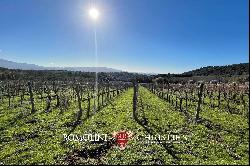 WINERY FOR SALE IN MONTALCINO, 3 HECTARES OF BRUNELLO VINEYARDS