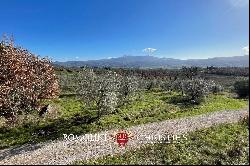 WINERY FOR SALE IN MONTALCINO, 3 HECTARES OF BRUNELLO VINEYARDS